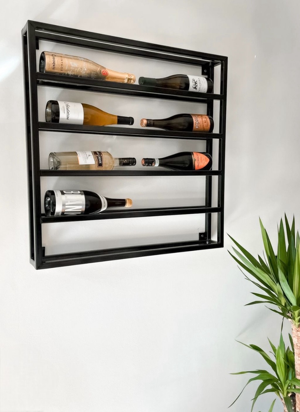 Cava de 10 botellas.